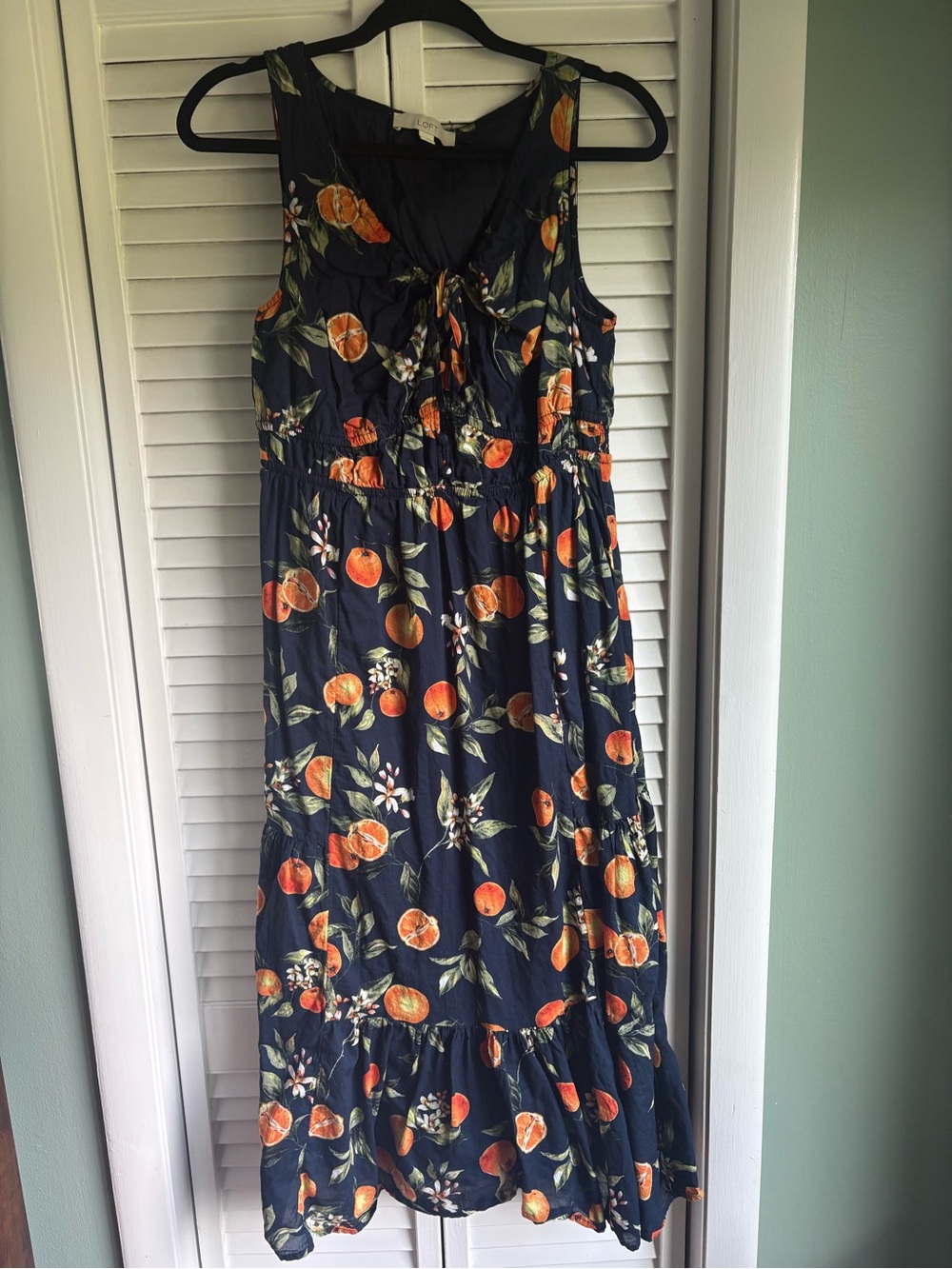 LOFT Navy Dress with clementines